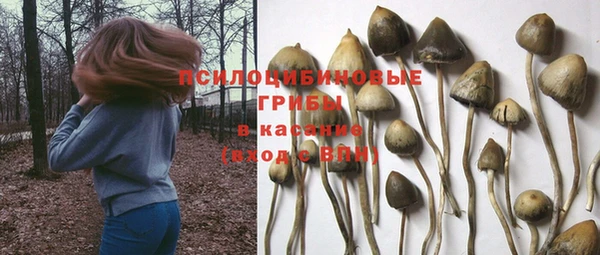 COCAINE Алексеевка