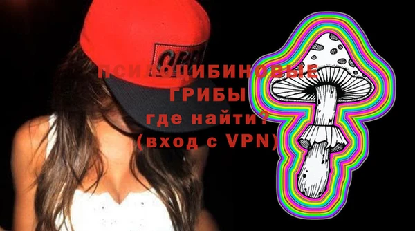 бошки Алексин