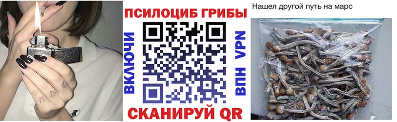 что такое   Абакан  Псилоцибиновые грибы Magic Shrooms 